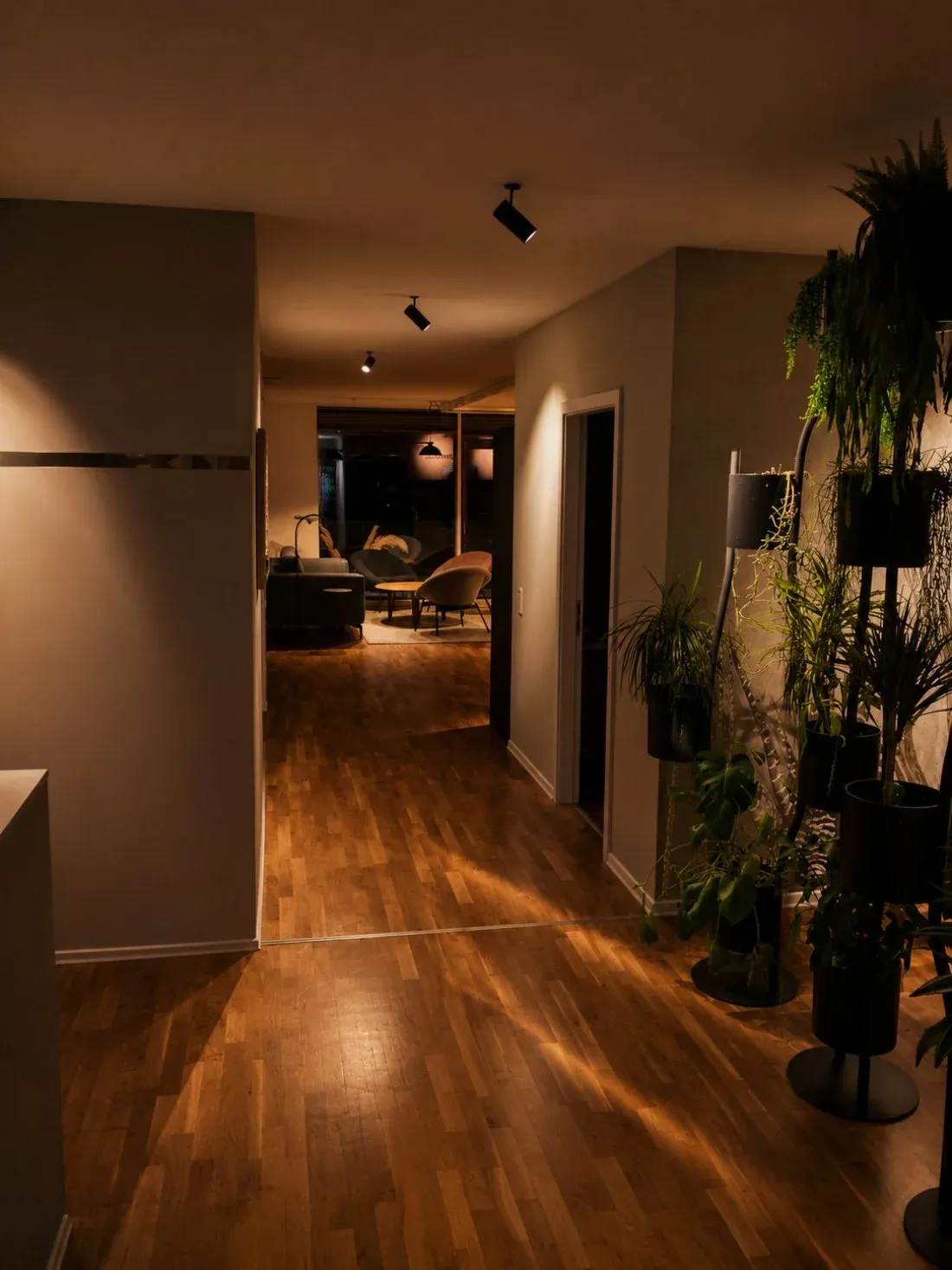 A warm, plant-lined hallway leading into the studio